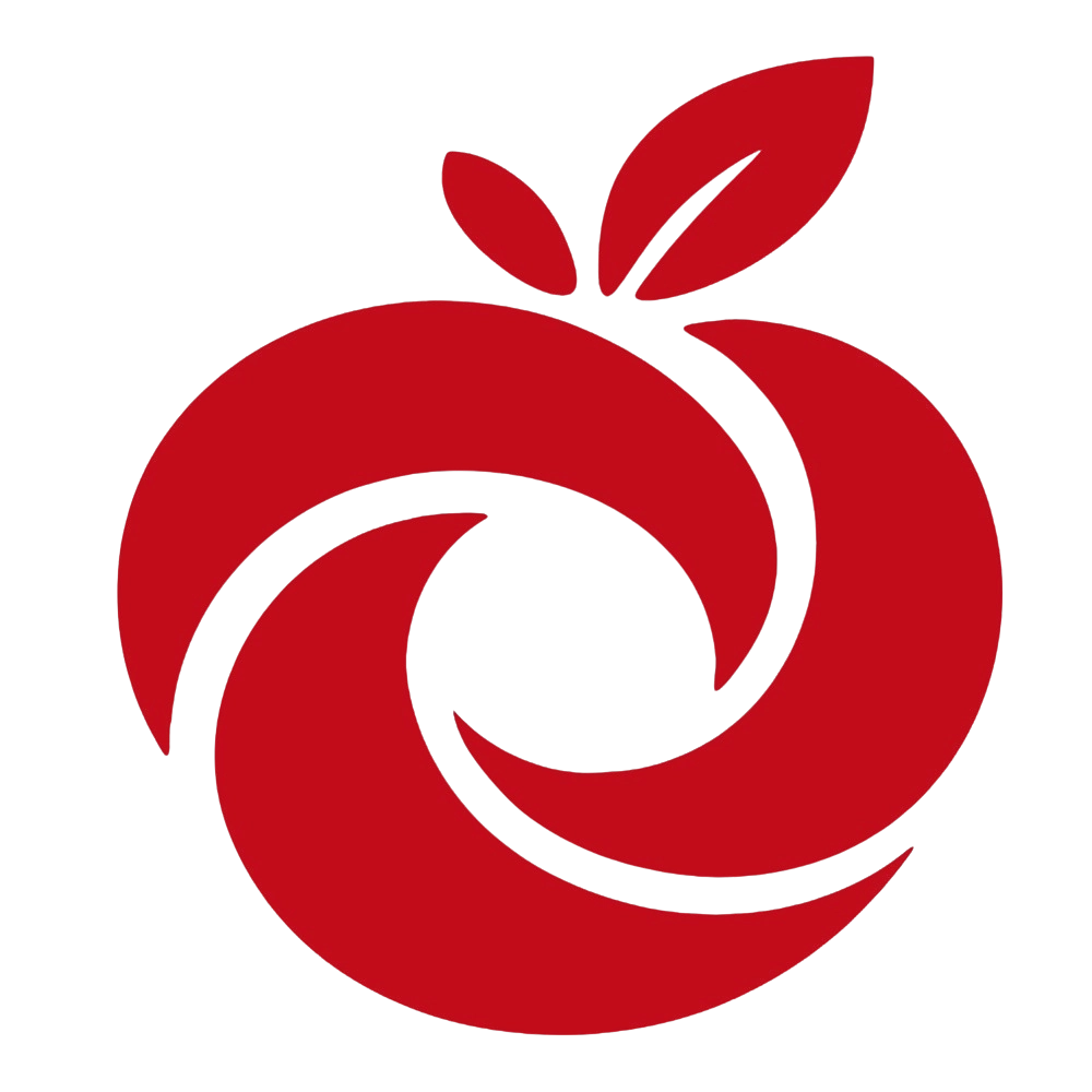 kurtz ersa